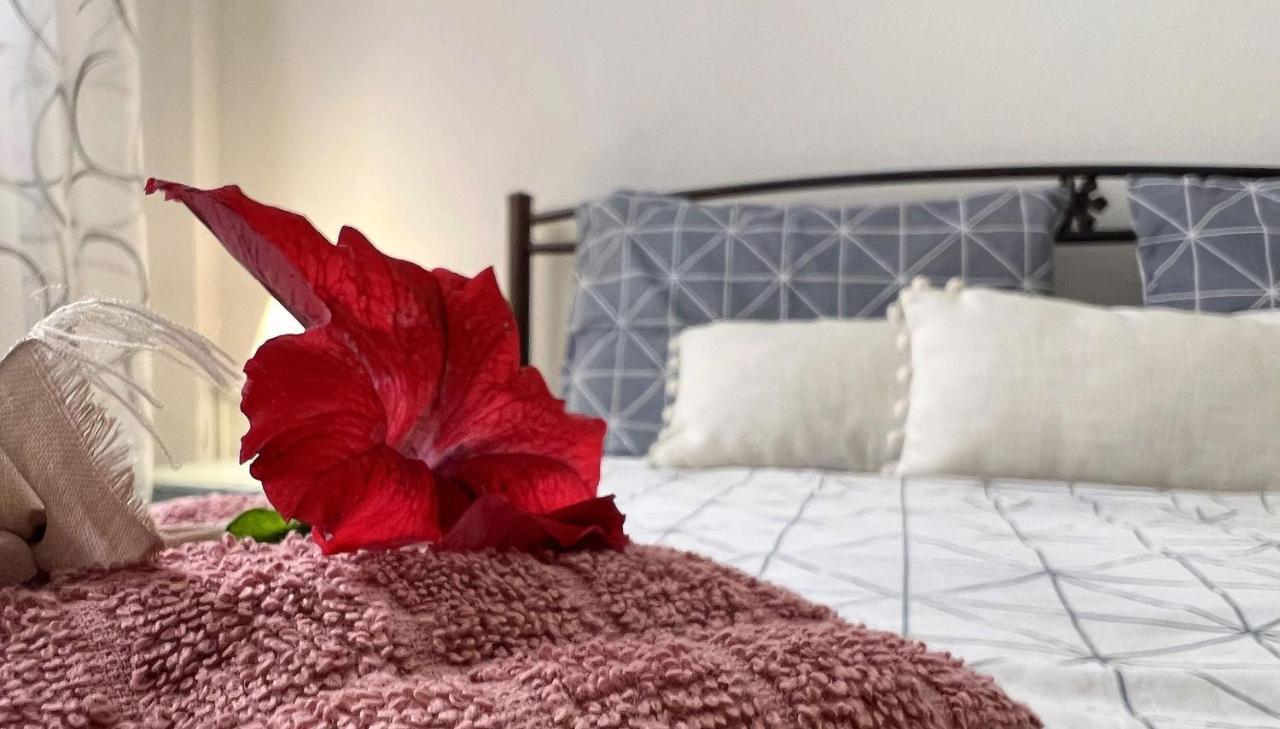Casa Di Mare Apartment Corfu  Екстериор снимка