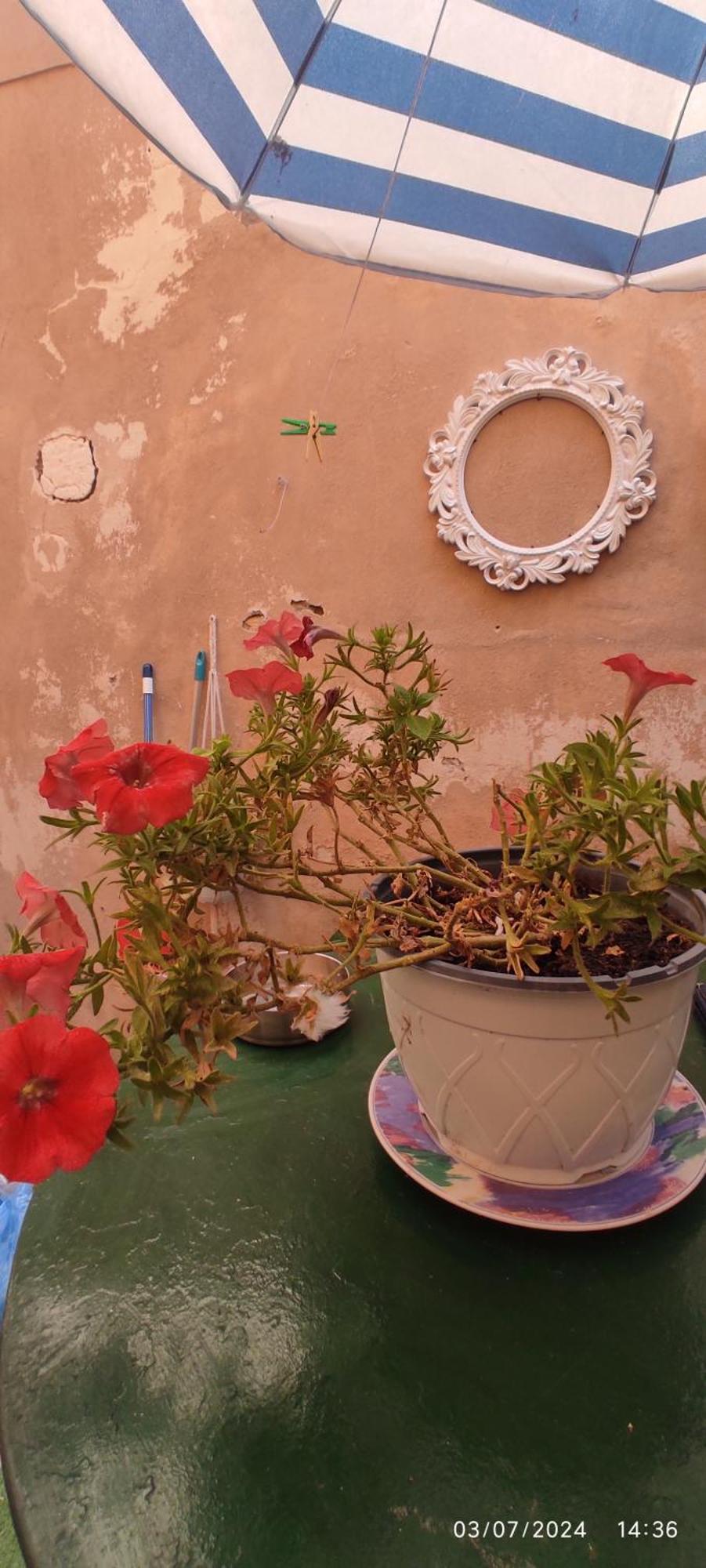 Casa Di Mare Apartment Corfu  Екстериор снимка